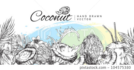 Coconuts background or border design engraving vintage vector illustration. 104575380