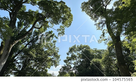 The blue sky of Kyoto Gyoen 104575565