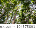 Fresh green in the image of eco 104575801