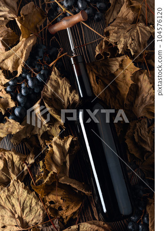 Bottle of red wine with corkscrew. On a table dried vine leaves and blue grapes. Bottle of red wine with corkscrew. On a table dried vine leaves and blue grapes. 104576120