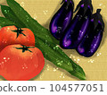 Colorful, juicy, fresh summer vegetables Colorful, juicy, fresh summer vegetables 104577051