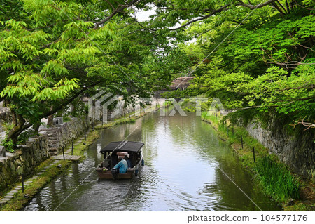 Omihachiman City in the fresh greenery Hachimanbori Water Village Pleasure Boat 104577176