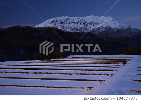 冬蜜蜜蜜 104577373