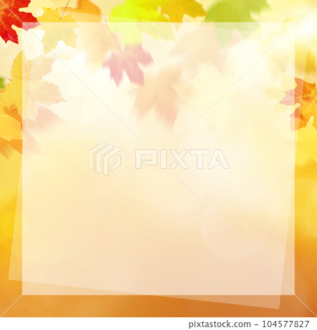 Autumn image frame 104577827
