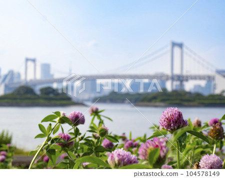 Odaiba Rainbow Bridge at sunset 104578149