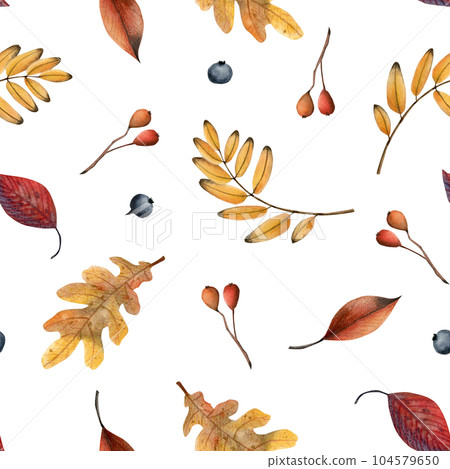 Yellow and red fall leaves and berries seamless pattern on white. Autumn botanical watercolor background illustration with hand drawn plants for fabrics and textiles Yellow and red fall leaves and berries seamless pattern on white. Autumn botanical watercolor background illustration with hand drawn plants for fabrics and textiles 104579650