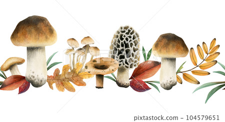 Autumn horizontal seamless border with brown edible boletus mushrooms and yellow red fall leaves watercolor illustration isolated on white background 104579651