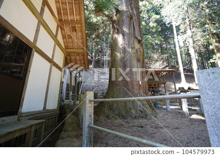 群馬百命山,群馬縣桐生市,九龍山腳下的九龍神社,2023年4月10日 群馬百命山,群馬縣桐生市,九龍山腳下的九龍神社,2023年4月10日 104579973