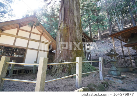 群馬百命山，群馬縣桐生市，九龍山腳下的九龍神社，2023年4月10日 104579977