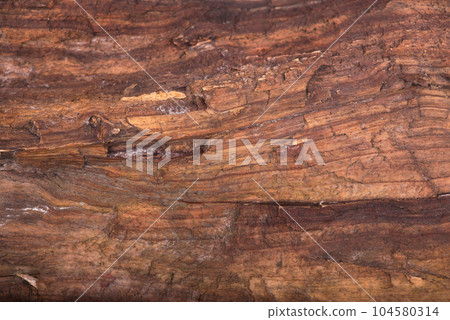 texture of bark wood use as natural background texture of bark wood use as natural background 104580314