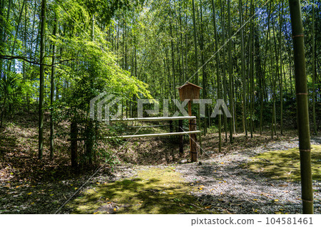 中山道赤坂宿大茶屋宅邸遺址 中山道赤坂宿大茶屋宅邸遺址 104581461