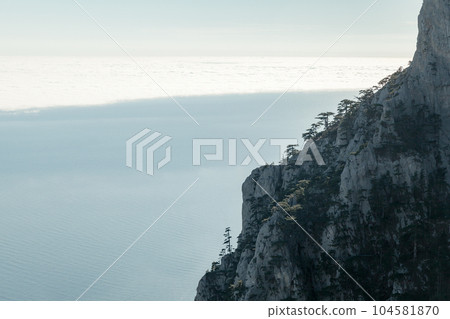 Mountain landscape with pine trees growing on rock. Natural photo Mountain landscape with pine trees growing on rock. Natural photo 104581870
