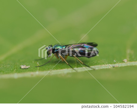 A kind of glittering paper fly A kind of glittering paper fly 104582194