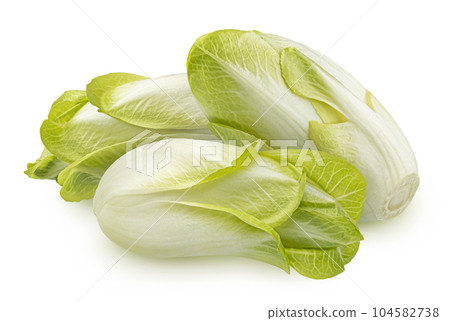Fresh endive, green chicory salad isolated on white background 104582738
