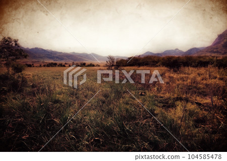 Analog photography. Landscape. Landscape with analog photography. 104585478