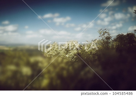 Analog photography. Landscape. Landscape with analog photography. Analog photography. Landscape. Landscape with analog photography. 104585486