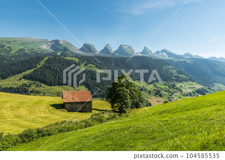 View to the Churfirsten mountains in the Swiss Alps, Switzerland View to the Churfirsten mountains in the Swiss Alps, Switzerland 104585535