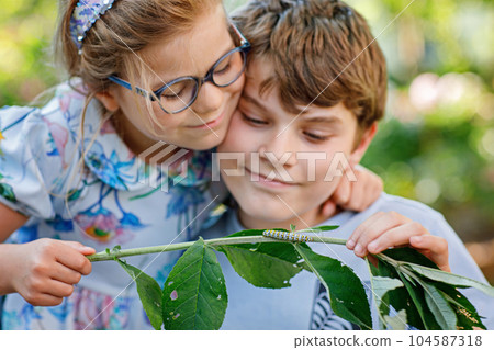 Little preschool girl and school kid boy watch caterpillar climb on plant. Happy excited children, siblings, brother and sister watching and learning insects in domestic garden. 104587318