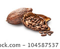 Cacao beans and fruits isolated on white background 104587537