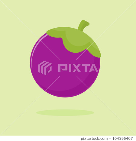 Vector mangosteen illustration healthy sweet fruit single image green background Vector mangosteen illustration healthy sweet fruit single image green background 104596407
