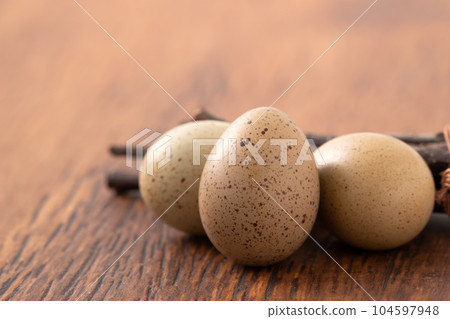 Rutin chicken Ludin chicken egg egg brown brown gray Egg in nest egg 生たまご 104597948