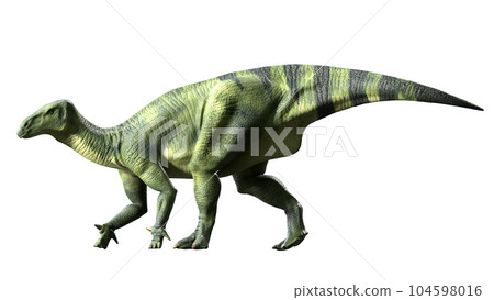 Iguanodon Iguanodon Iguanodon Iguanodon 104598016