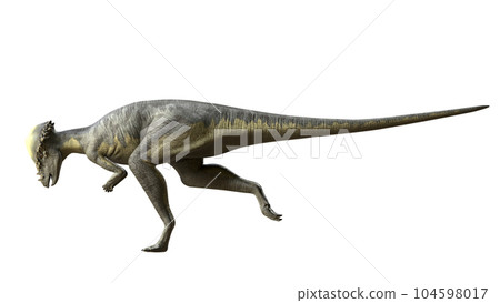 厚頭龍 厚頭龍 104598017