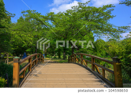 Soka City Soka Park, a bridge that shines in the fresh greenery 104598650