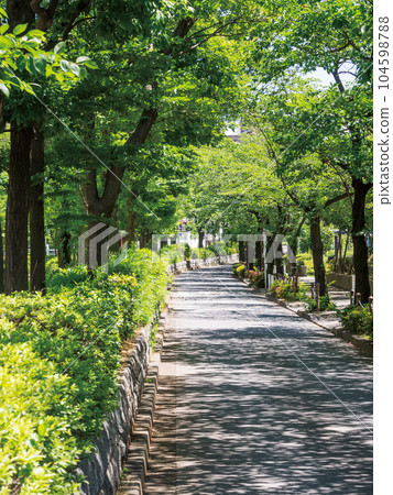 板橋區高島平綠地 板橋區高島平綠地 104598788