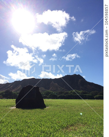 sunny diamond head 104598857