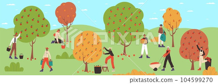Group harvesting process. Cartoon farmers picking fruits from garden trees. Men and women collecting apple harvest in orchard. Agricultural workers. Natural food cultivation. Vector concept Group harvesting process. Cartoon farmers picking fruits from garden trees. Men and women collecting apple harvest in orchard. Agricultural workers. Natural food cultivation. Vector concept 104599270