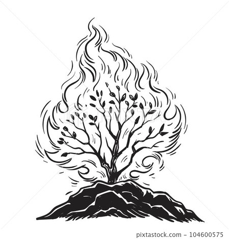 Burning bush. Vector drawing Burning bush. Vector drawing 104600575