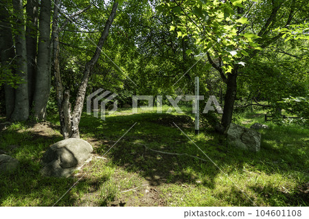 下津城遺址 西之丸遺址 岡山縣倉敷市 104601108