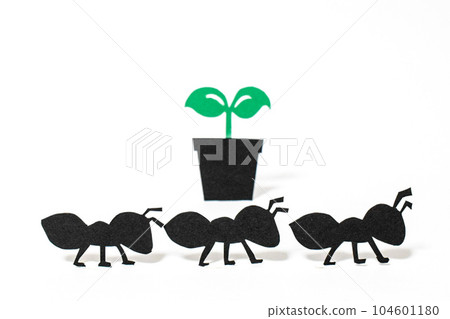 ECO image ECO image 104601180