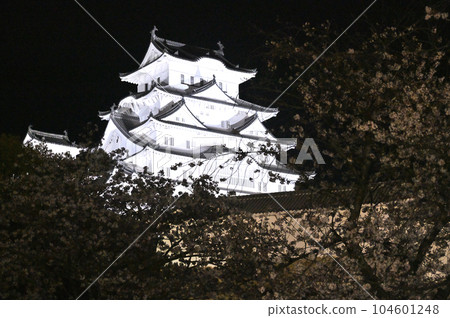 姬路城和櫻花的照明 104601248