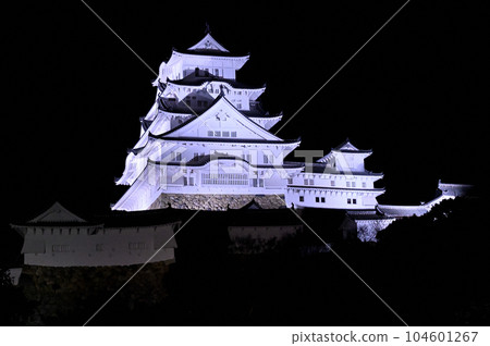 姬路城和櫻花的照明 104601267