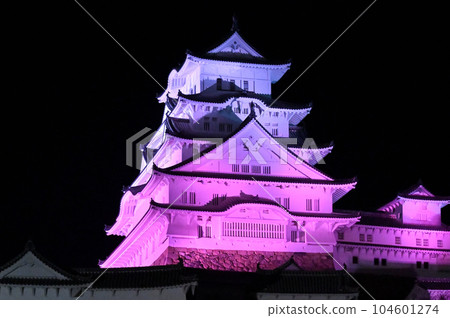 Illumination of Himeji Castle and cherry blossoms Illumination of Himeji Castle and cherry blossoms 104601274
