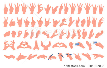 Cartoon hands gestures. Human hand holding things, thumb up, ok and peace sign flat vector illustration set. Interactive sign language collection 104602835