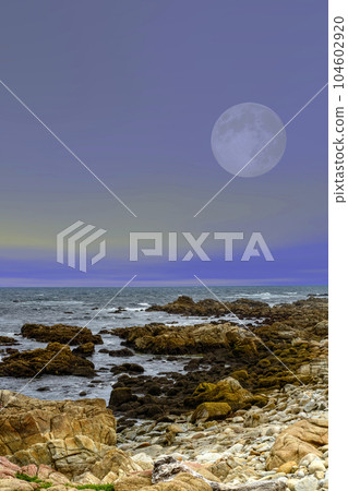 Moon setting Asilomar State Marine Reserve California Moon setting Asilomar State Marine Reserve California 104602920