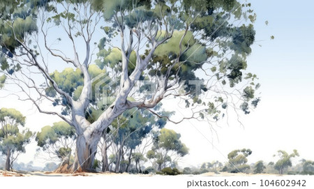 A majestic eucalyptus tree watercolor illustration - Generative AI. A majestic eucalyptus tree watercolor illustration - Generative AI. 104602942