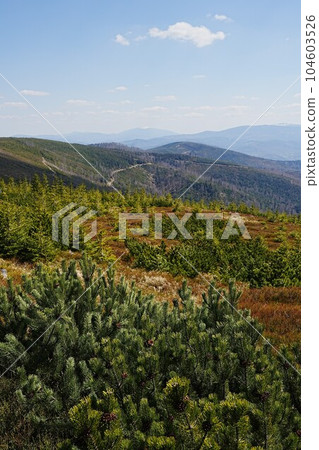 Picturesque Silesian Beskid near european Szczyrk town in Poland - vertical Picturesque Silesian Beskid near european Szczyrk town in Poland - vertical 104603526
