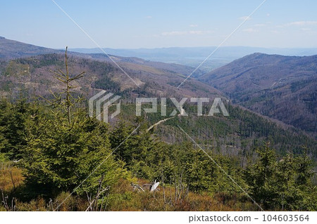 Landscape in Silesian Beskid near european Szczyrk town in Poland Landscape in Silesian Beskid near european Szczyrk town in Poland 104603564