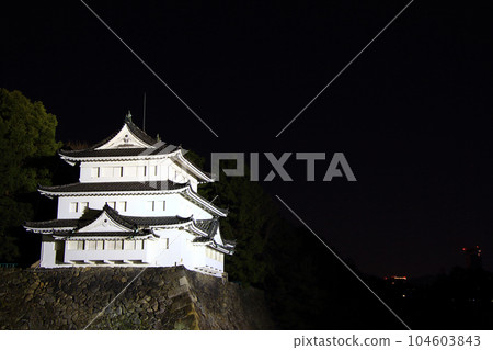 名古屋市,名古屋城西北角角樓的燈火通明 名古屋市,名古屋城西北角角樓的燈火通明 104603843