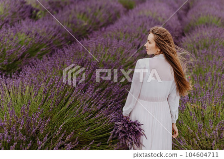 Half Turn Woman Walking on Lavender Field Half Turn Woman Walking on Lavender Field 104604711
