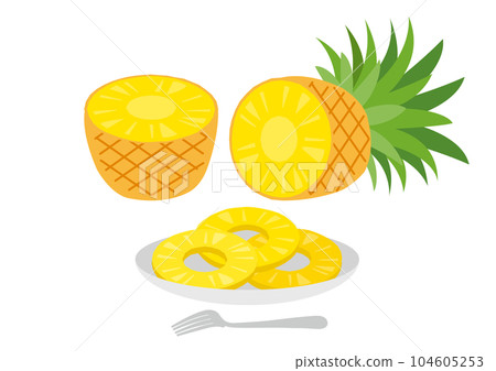 A set of pineapple illustrations on a plate_3 104605253