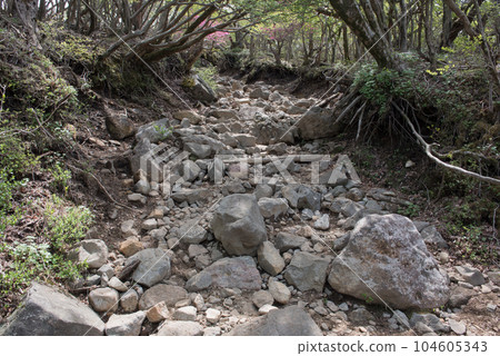 宮崎縣霧島市、小林市、蝦野市霧島山唐國山的岩石路 宮崎縣霧島市、小林市、蝦野市霧島山唐國山的岩石路 104605343