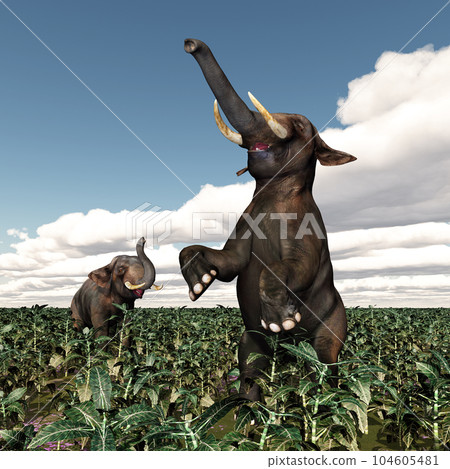 Two elephants in a landscape Two elephants in a landscape 104605481