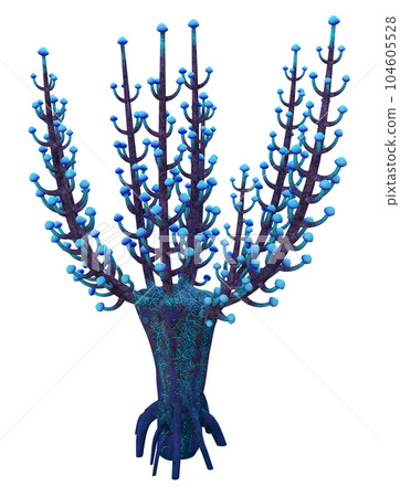 Plant of the fantasy isolated on white background 104605528