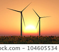 Wind turbines in a field of sunflowers at sunset 104605534