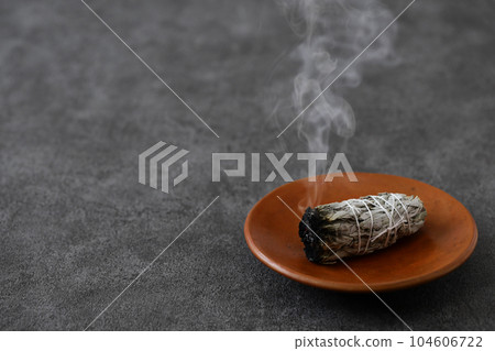 白鼠尾草塗抹 白鼠尾草塗抹 104606722